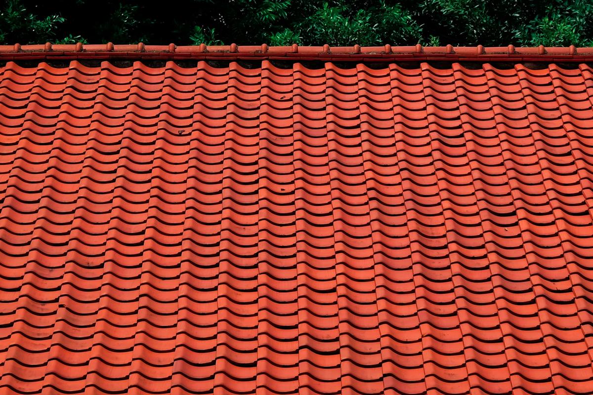 Clay roof tiles on a house beside green trees